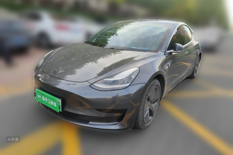 Tesla Model 3 2020 car image #2