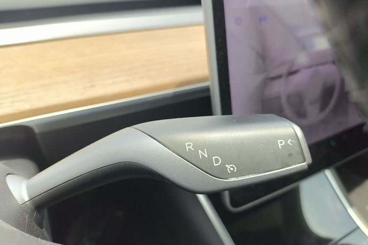 Tesla Model 3 2020 car image #14
