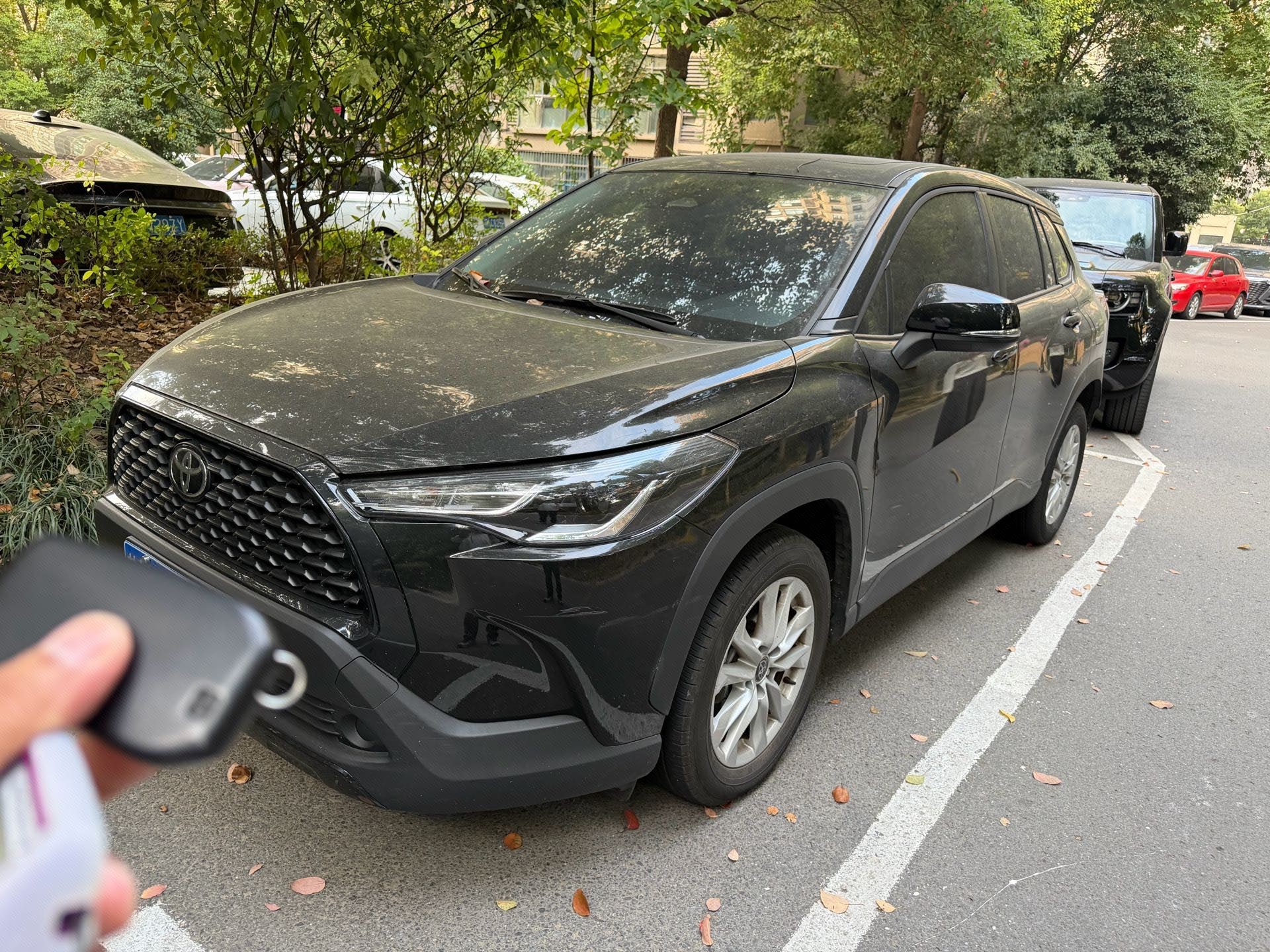 2025 2025 car image