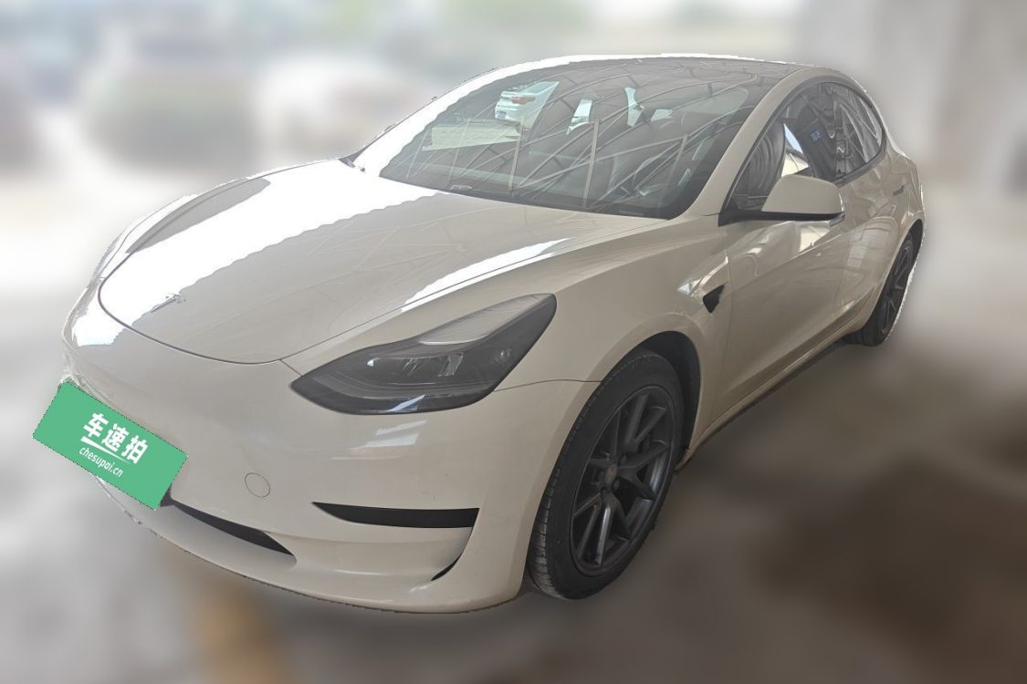 Tesla Model 3 2021 car image 