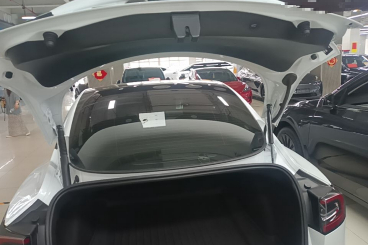 Tesla Model 3 2021 #19 Tesla Model 3 2021 car image #19
