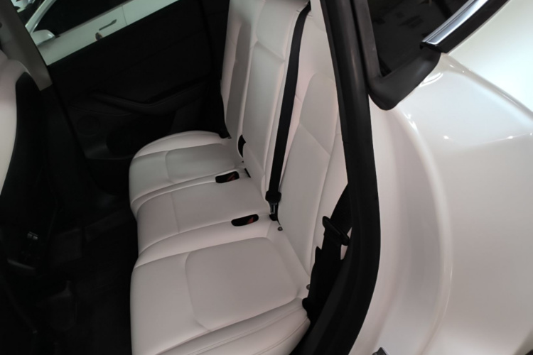 Tesla Model Y 2023 car image #13