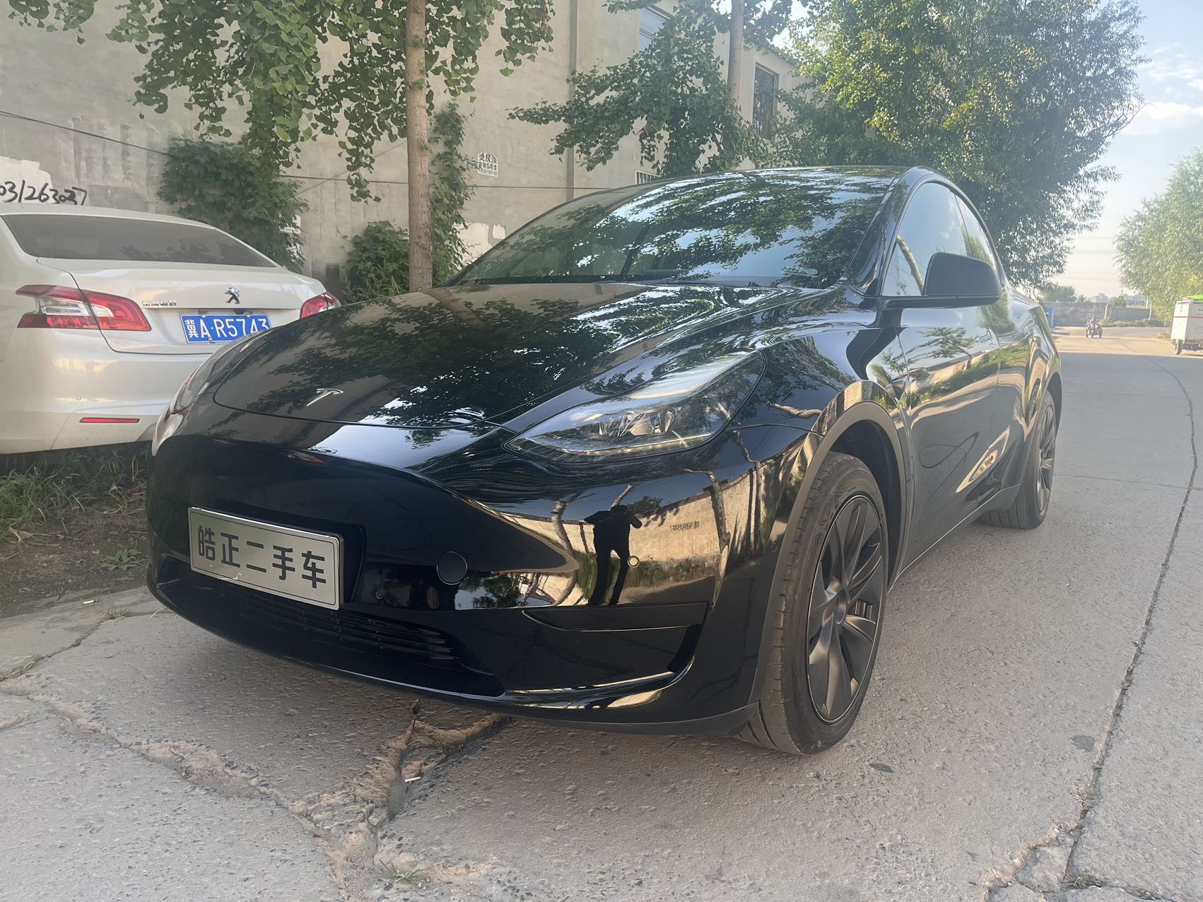 Tesla Model Y 2023 car image 