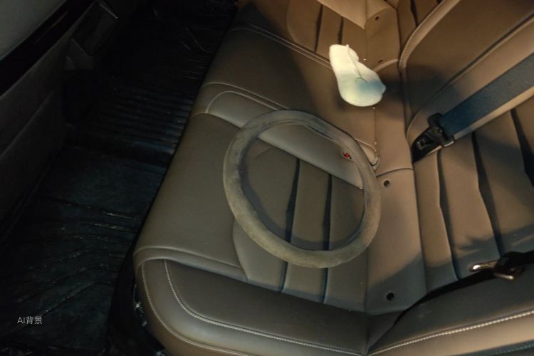 BYD Han 2020 car image #19