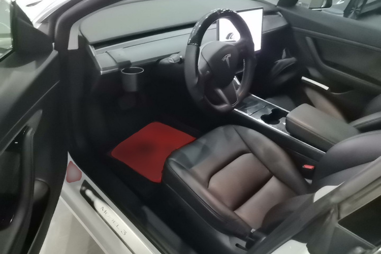 Tesla Model 3 2020 car image #16