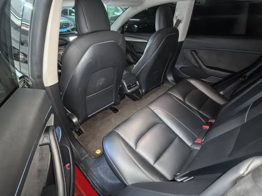 Tesla Model 3 2021 #3 Tesla Model 3 2021 car image #3