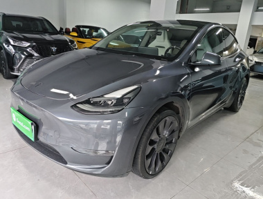 Tesla Model Y 2022 Tesla Model Y 2022 car image