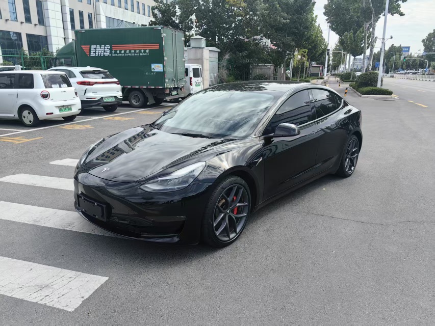 Tesla Model 3 2021 #5 Tesla Model 3 2021 car image #5