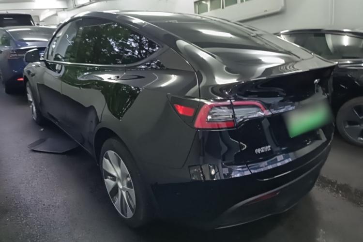 Tesla Model Y 2023 #5 Tesla Model Y 2023 car image #5