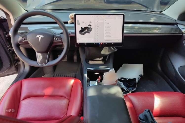 Tesla Model 3 2021 car image #11