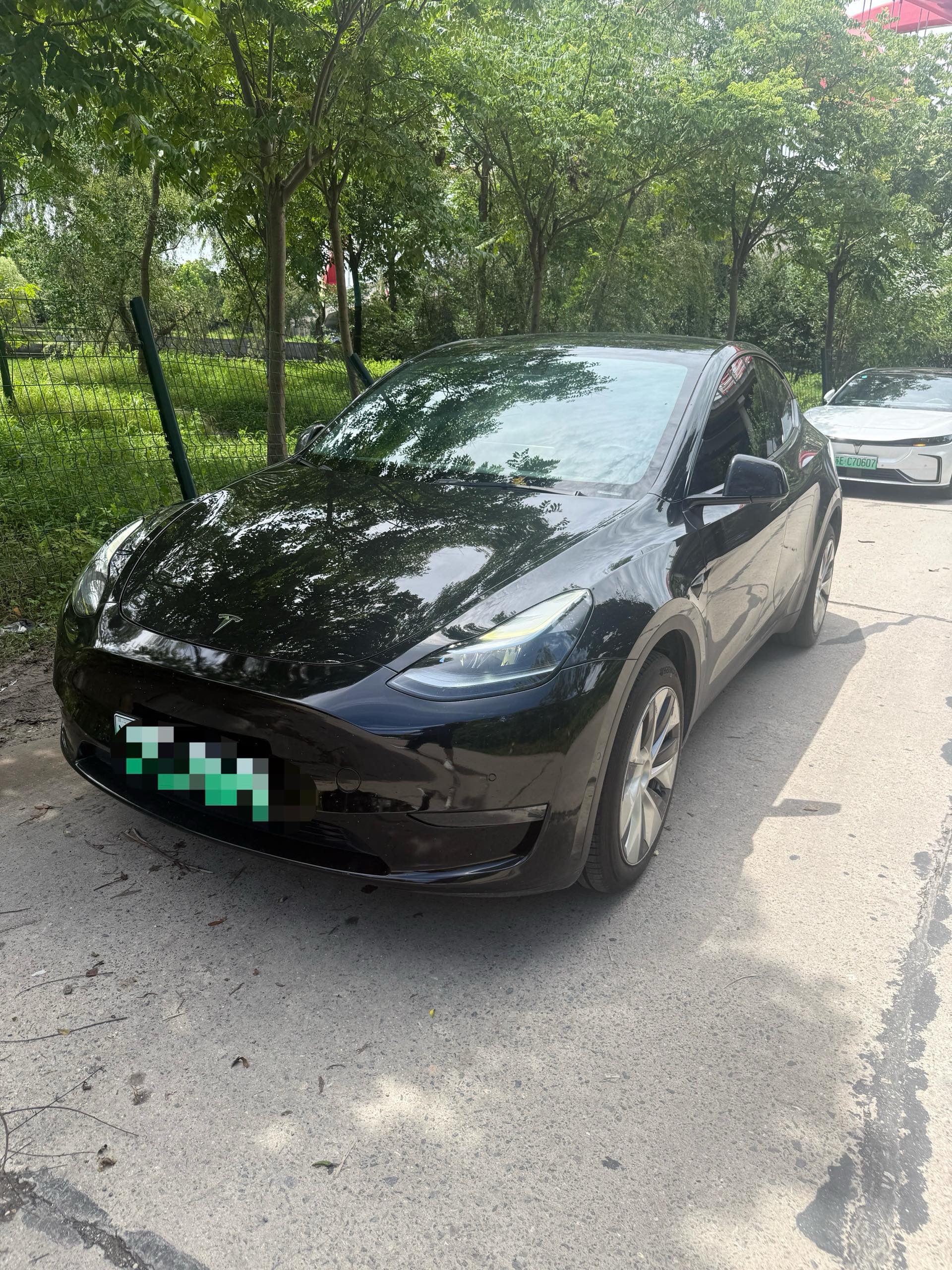 Tesla Model Y 2023 car image 
