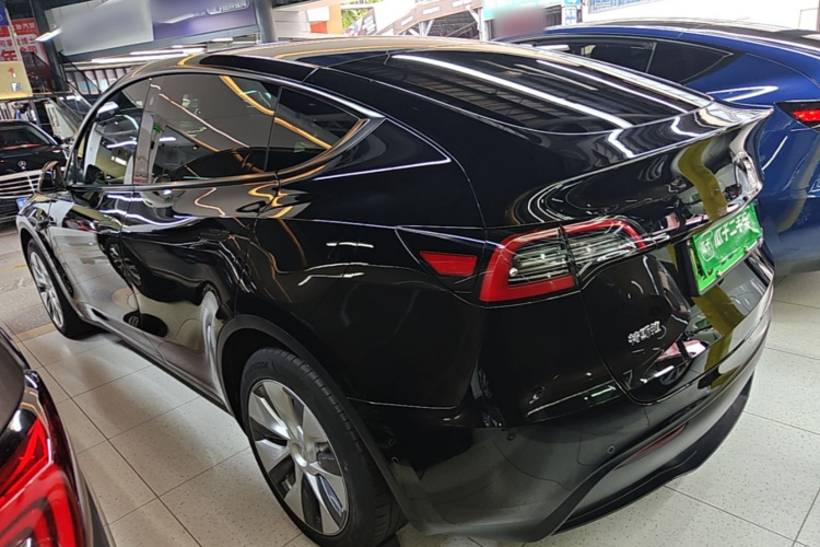 Tesla Model Y 2023 #5 Tesla Model Y 2023 car image #5