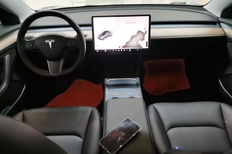 Tesla Model 3 2021 immagine di auto #10