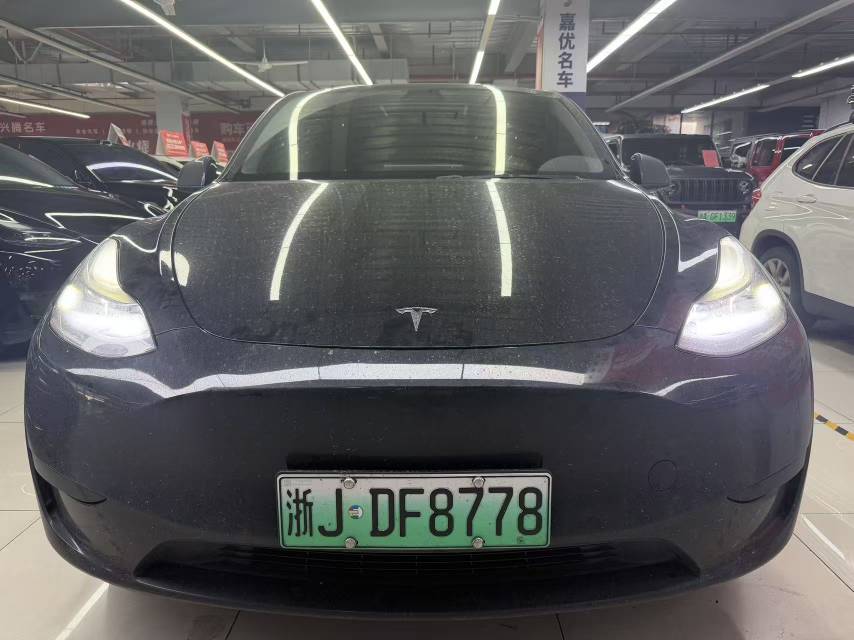 Tesla Model Y 2022 car image 