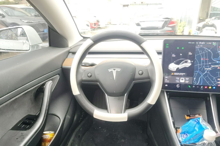 Tesla Model 3 2020 car image #11