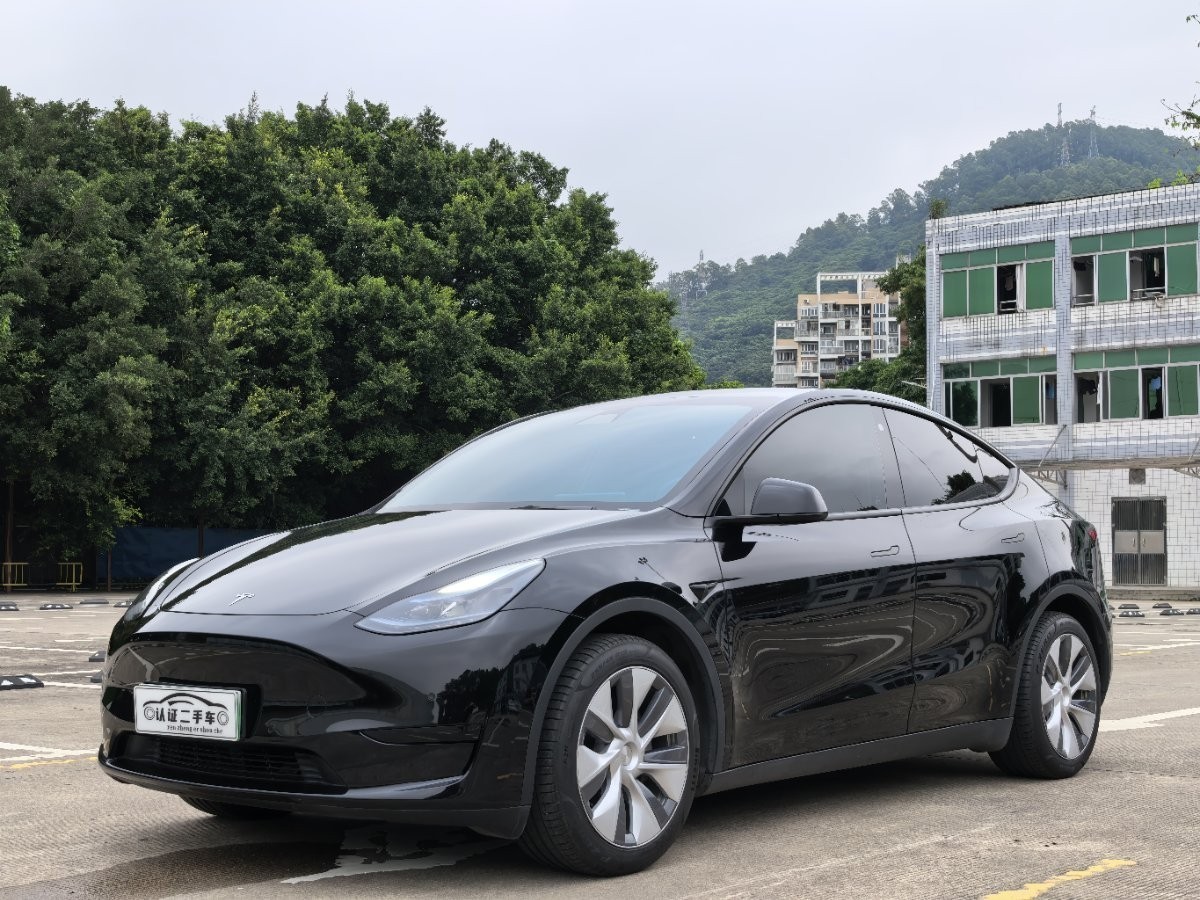Tesla Model Y 2021 car image 