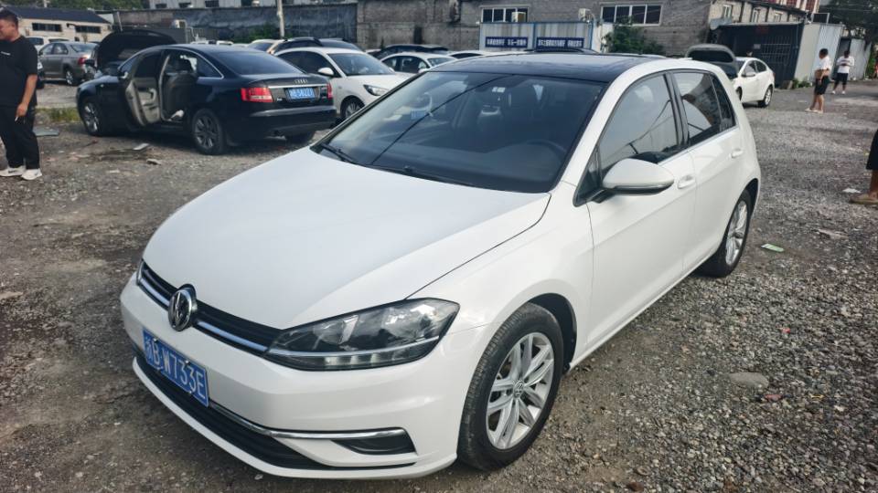 Volkswagen Golf 2019 car image 