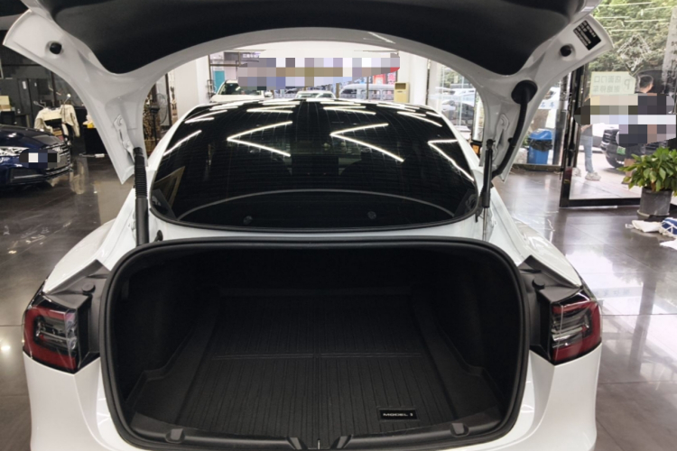 Tesla Model 3 2023 #19 Tesla Model 3 2023 car image #19