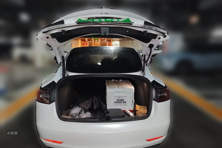 Tesla Model 3 2022 #21 Tesla Model 3 2022 car image #21