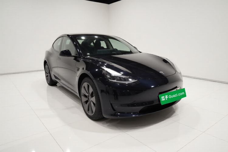 Tesla Model 3 2021 car image #4