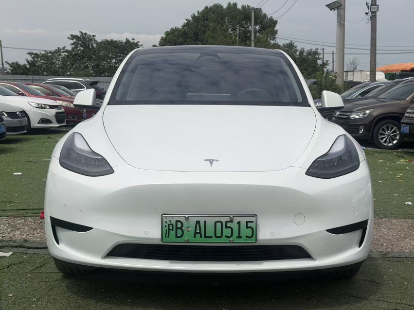 Tesla Model Y 2024 car image #2