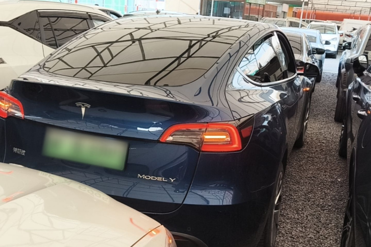 Tesla Model Y 2023 #5 Tesla Model Y 2023 car image #5