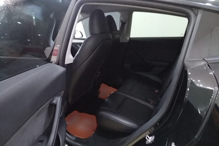 Tesla Model Y 2024 car image #13