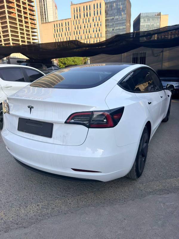 Tesla Model 3 2022 #3 Tesla Model 3 2022 car image #3