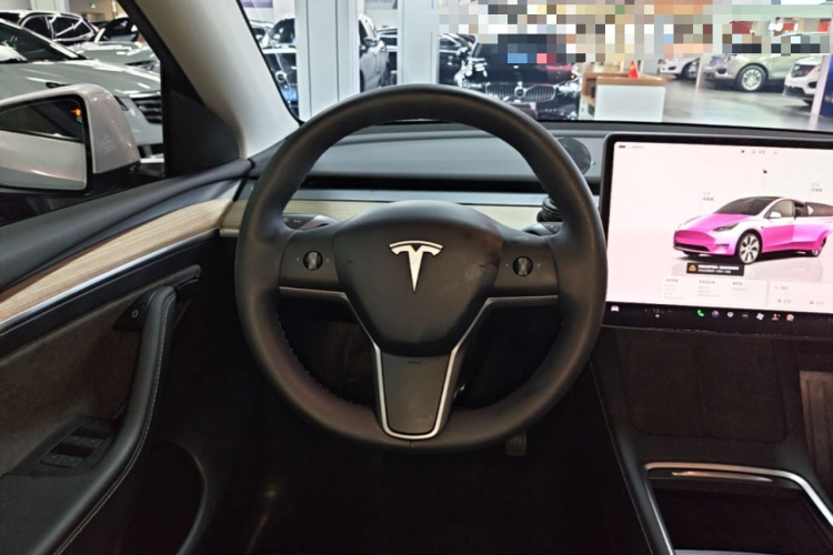 Tesla Model Y 2023 #15 Tesla Model Y 2023 car image #15
