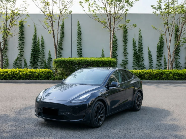 Tesla Model Y 2024 car image 