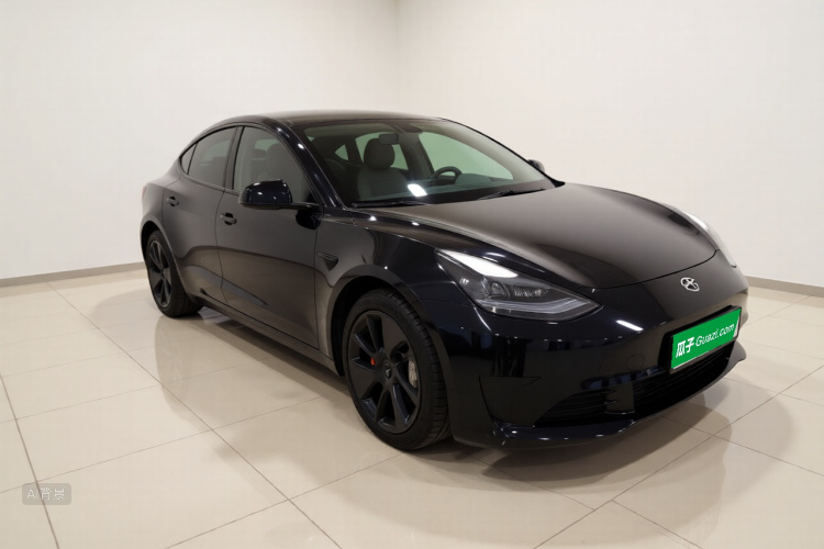 Tesla Model 3 2023 car image #4