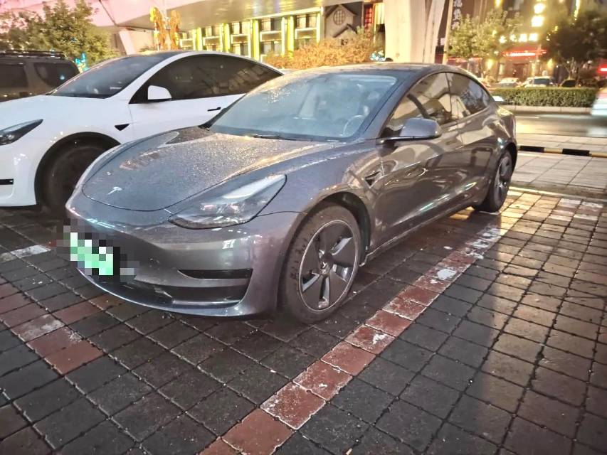 Tesla Model 3 2021 car image 