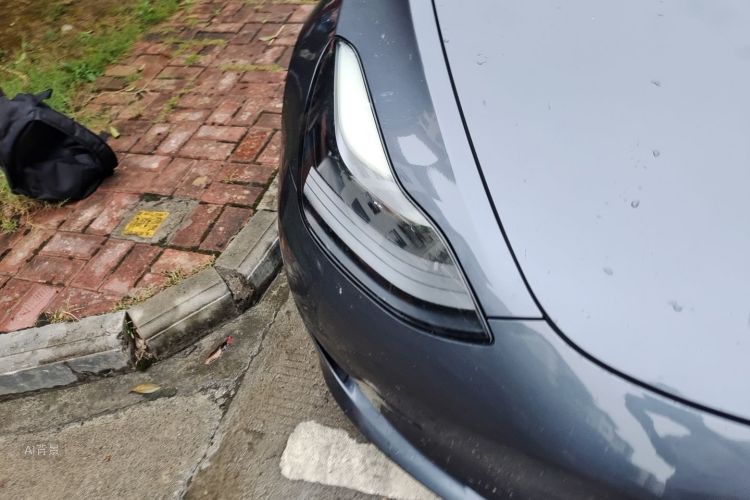 Tesla Model 3 2021 immagine di auto #8