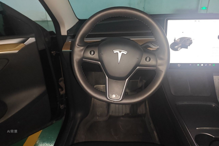 Tesla Model Y 2022 car image #12