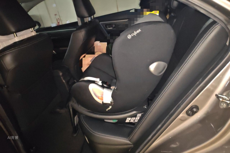 Toyota Corolla 2019 car image #19
