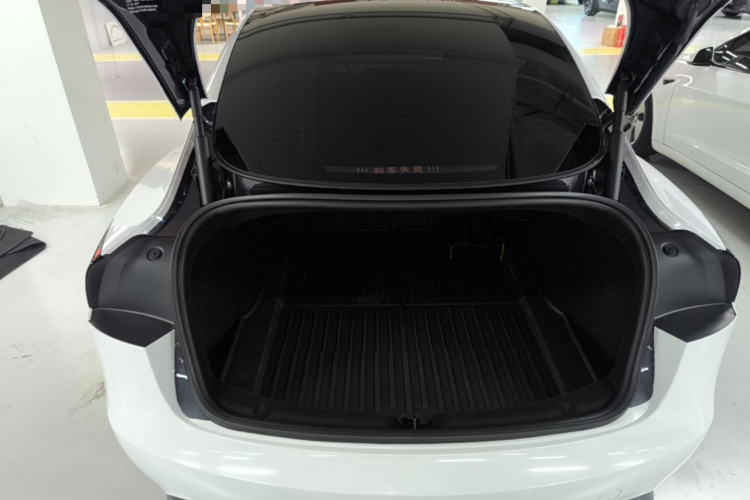 Tesla Model 3 2024 #19 Tesla Model 3 2024 immagine di auto #19