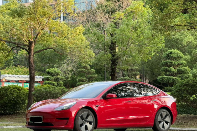 Tesla Model 3 2021 #2 Tesla Model 3 2021 car image #2