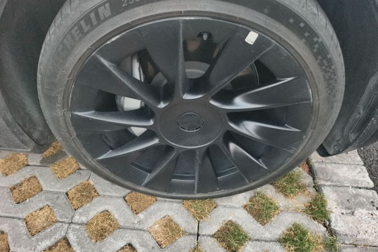 Tesla Model Y 2021 car image #6