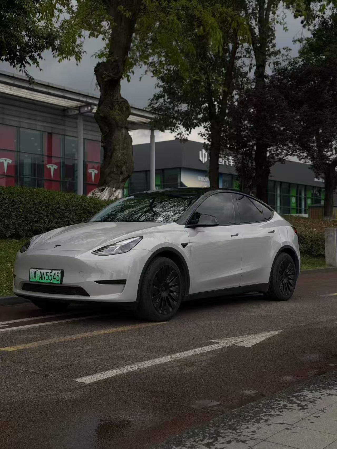 Tesla Model Y 2023 Tesla Model Y 2023 car image