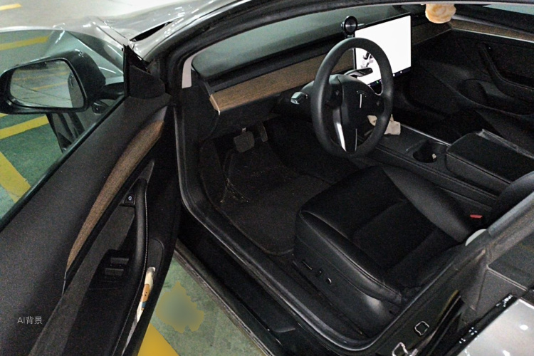 Tesla Model 3 2022 car image #18