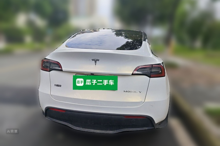 Tesla Model Y 2023 car image #6