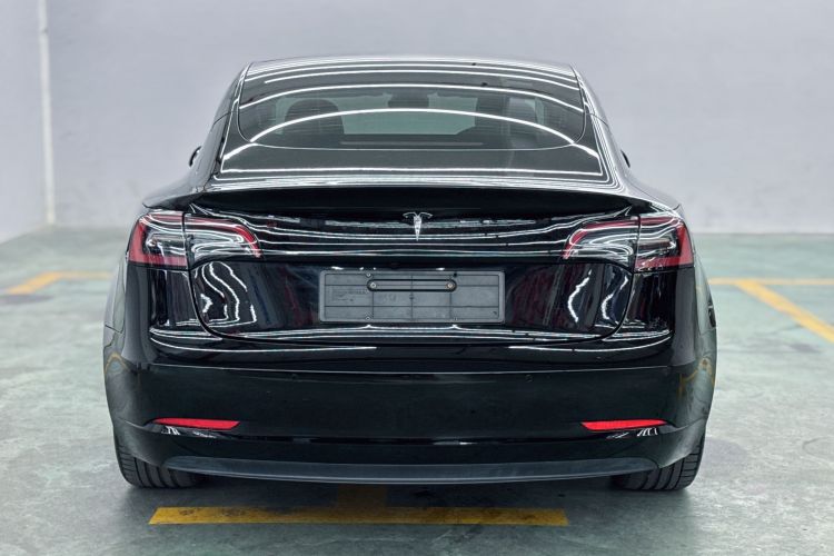 Tesla Model 3 2021 #7 Tesla Model 3 2021 car image #7