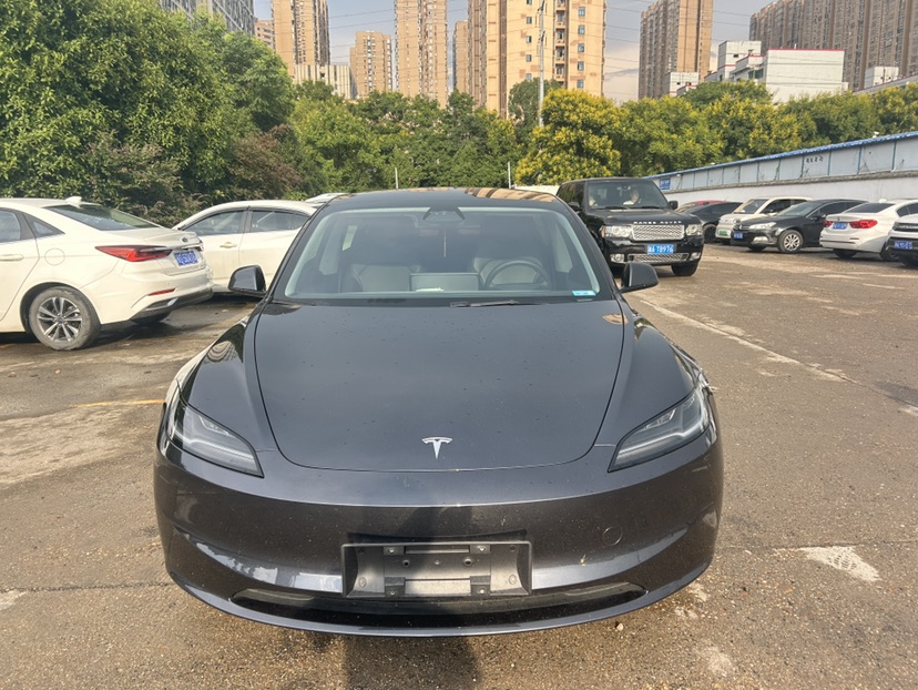 Tesla Model 3 2025 #2 Tesla Model 3 2025 car image #2
