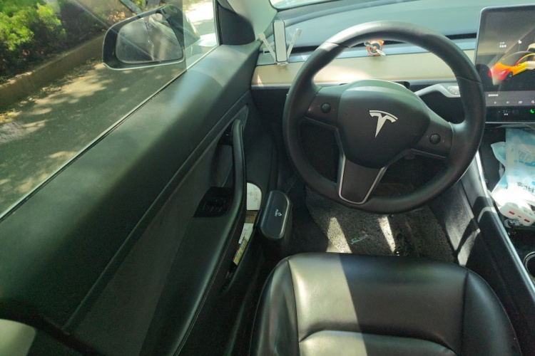 Tesla Model 3 2020 car image #11