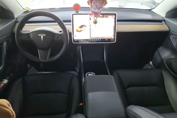 Tesla Model 3 2020 #11 Tesla Model 3 2020 car image #11