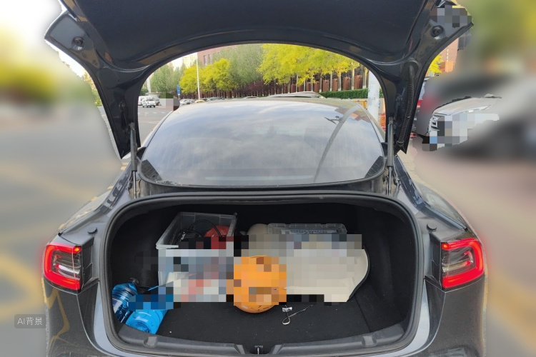 Tesla Model 3 2020 car image #21