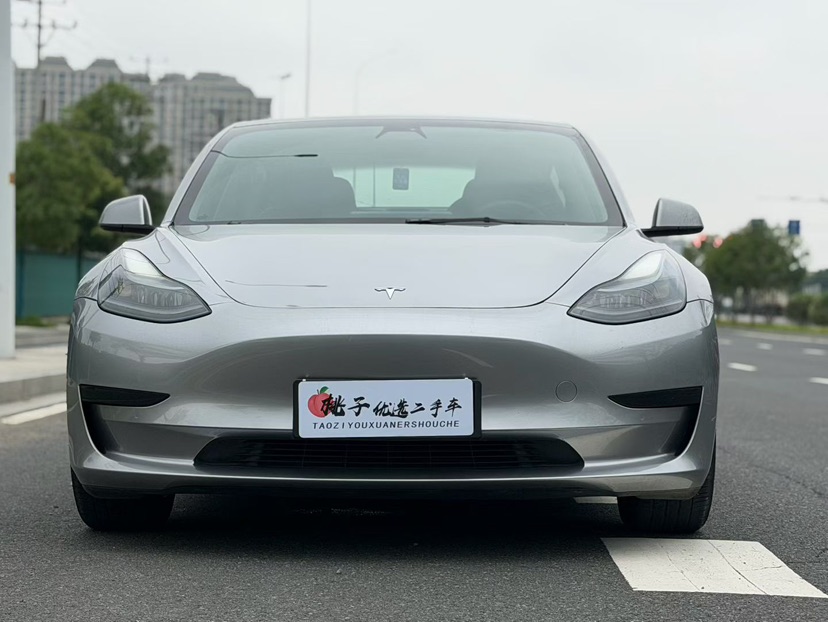 Tesla Model 3 2021 #2 Tesla Model 3 2021 car image #2