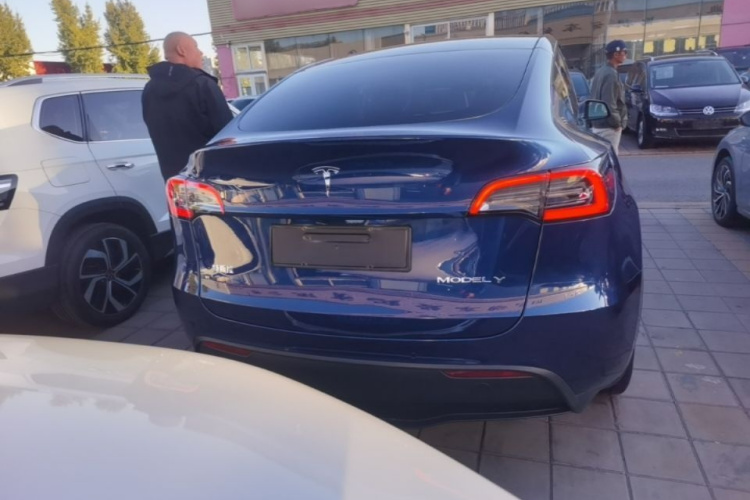 Tesla Model Y 2021 #6 Tesla Model Y 2021 صورة سيارة #6