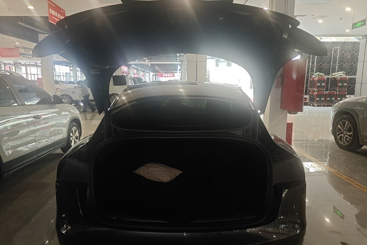 Tesla Model 3 2024 immagine di auto #19