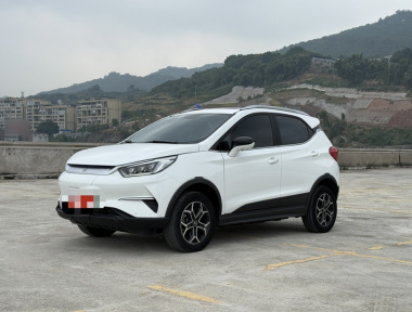 BYD Yuan Pro 2022 car image 